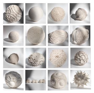 The Features of pollen