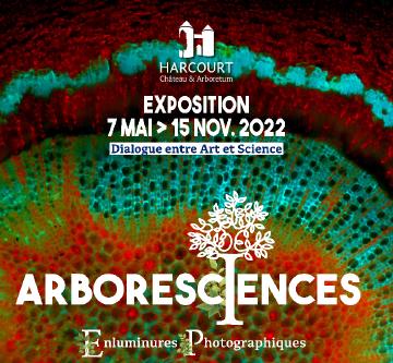 Arboresciences, an exhibition about autour tree and light.