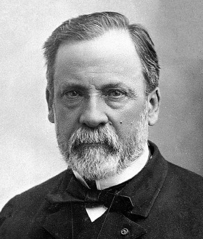 Louis Pasteur face à la maladie du ver à soie (1865-1870) : du chimiste au biologiste