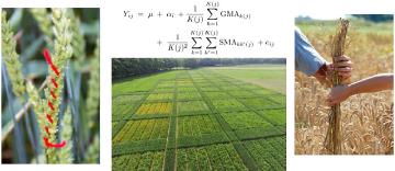 Diversity, Evolution and Adaptation of Populations