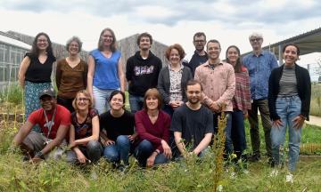Génomique Evolutive et Adaptation des plantes Domestiquées