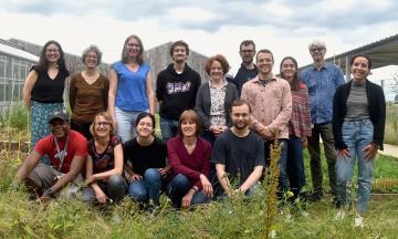 Genomics, Evolution and Adaptation of Domesticated plants
