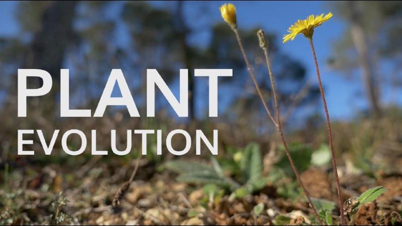 Financement de la traduction d'une vidéo d'un Mooc botanique