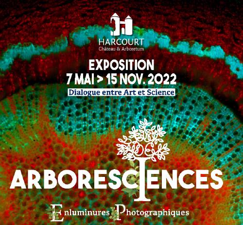 Arboresciences, un événement art-science autour de l'arbre et de la lumière.
