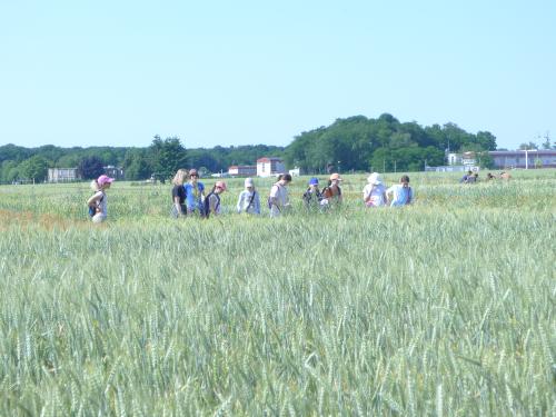 Journée Nationale de l'Agriculture