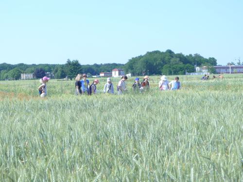 Journée nationale de l'Agriculture 2022