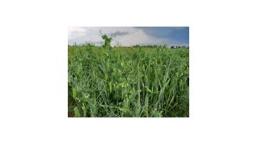 Un projet pour une agriculture durable