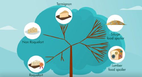 Sélection sur les fromages