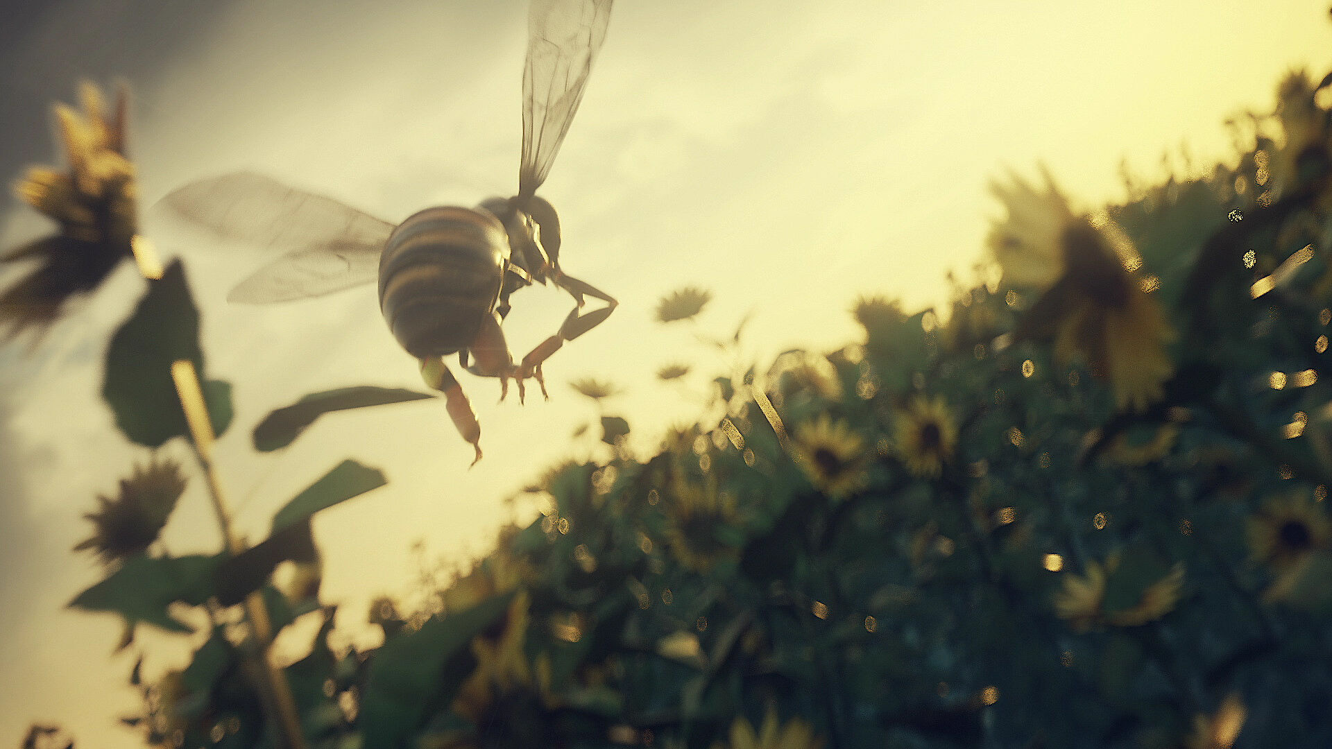 Insignificant Animation Documentary