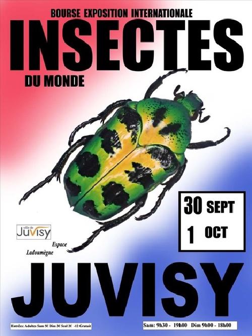 Exposition insectes