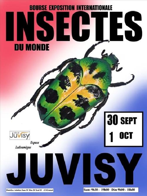 Exhibition on insects