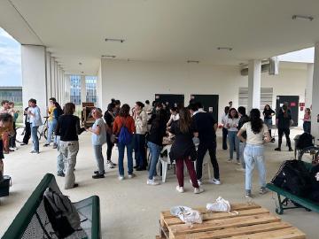 Barbecue de l'IDEEV