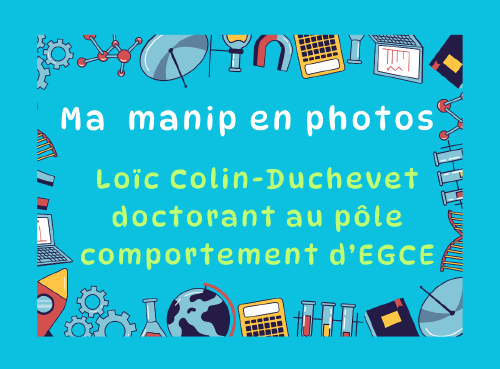 Ma manip en photos : Loïc Colin-Duchevet, doctorant au pôle comportement d'EGCE