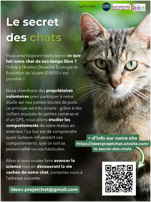 Le secret des chats