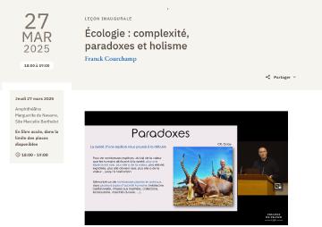 Ecologie : complexité, paradoxe et holisme