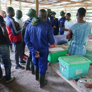 Ecole de terrain au Cameroun