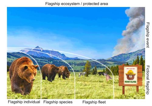 Flagship species