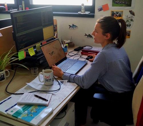 My work in photos : Elena Manfrini, PhD student at ESE