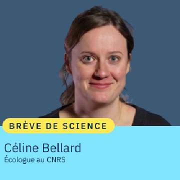 Stop aux espèces envahissantes !
