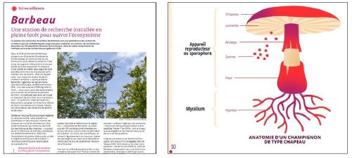 A propos de... plateforme de Barbeau et champignons