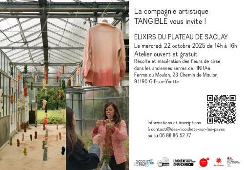 Elixirs du plateau de Saclay