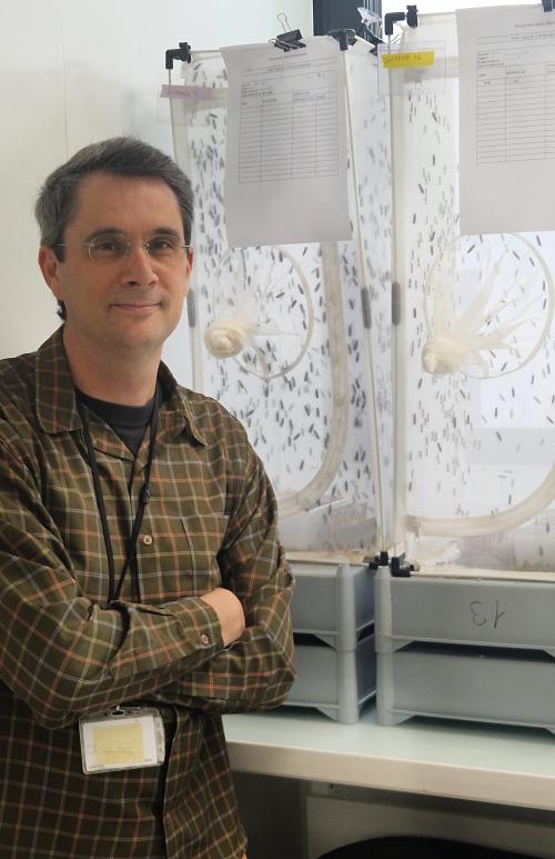 Il travaille à l'IDEEV : Jonathan Filée, chargé de recherche à EGCE