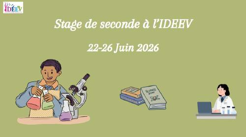 Des lycéens en stage de seconde à l'IDEEV