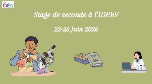 Des lycéens en stage de seconde à l'IDEEV