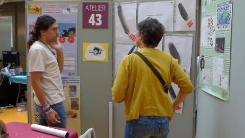 L'IDEEV fête la Science