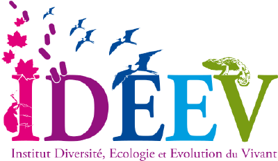 Les journées IDEEV 2022 - 1ère journée Les journées IDEEV 2022 - 1ère journée