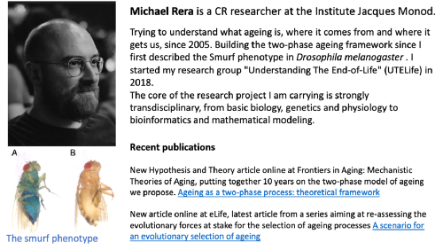 Studying ageing as a two-phase process: into Smurfness