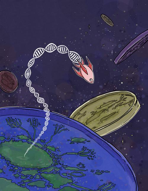 Giant transposons as a crucible of evolution in fungi