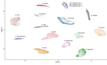 On the evolution of gene expression noise