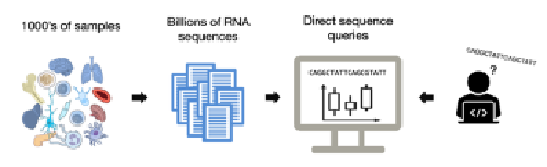 Exploring the unreferenced cancer transcriptome with k-mers
