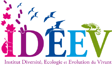 Les journées IDEEV 2025 - 2ème journée
