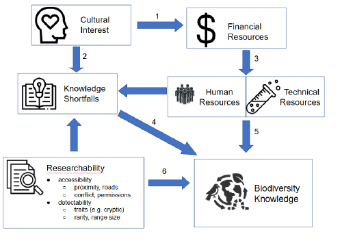 A new framework for global biodiversity information shortfalls