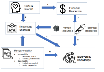 A new framework for global biodiversity information shortfalls A new framework for global biodiversity information shortfalls