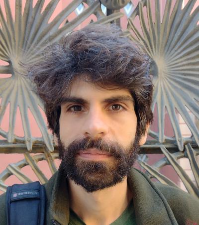 Deep phenotyping in ecotoxicology: from the insect apocalypse to the stress response