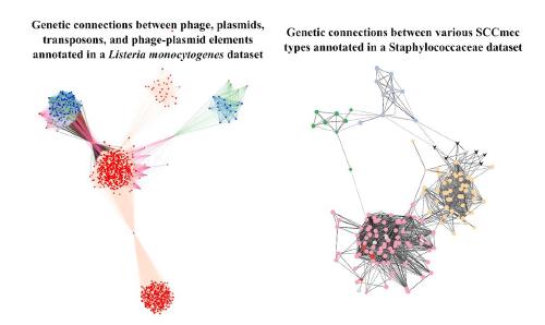 A network approach to investigate horizontal transfer across various bacterial mobile genetic elements