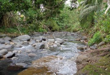 An eco-evolutionary approach to processes acting in metacommunity dynamics - Examples from freshwater snails in the Lesser Antilles