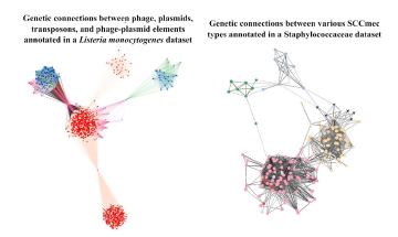 Mechanisms and impact of horizontal gene transfer in pathogenic bacteria