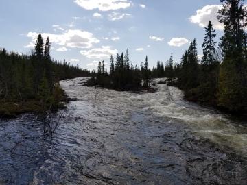 Bending the curve for freshwater biodiversity