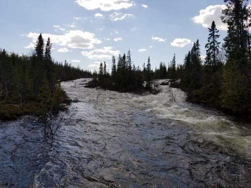 Bending the curve for freshwater biodiversity