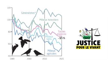 L’évaluation des produits phytopharmaceutiques en France : failles scientifiques et lacunes juridiques