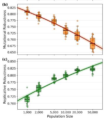 Selection for Robustness: When Plateaus are Slippery and Peaks are Safe