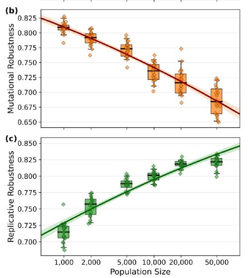 Selection for Robustness: When Plateaus are Slippery and Peaks are Safe