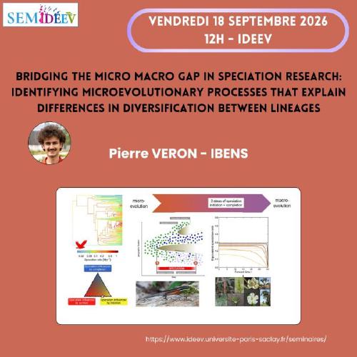 Bridging the micro macro gap in speciation research: identifying microevolutionary processes that explain differences in diversification between lineages