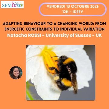 Adapting behaviour to a changing world: from energetic constraints to individual variation