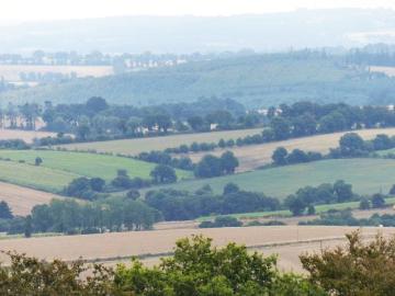 Apports de « l’approche patrimoniale de la gestion de la qualité du vivant » à la prise en charge de la biodiversité dans les territoires ruraux