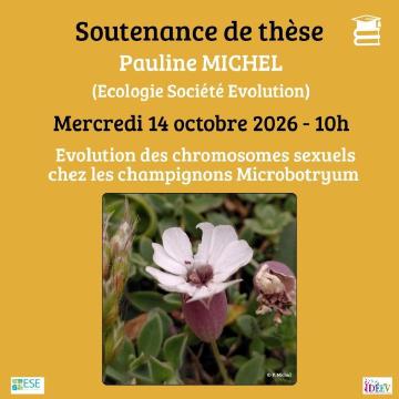 Evolution des chromosomes sexuels chez les champignons Microbotryum